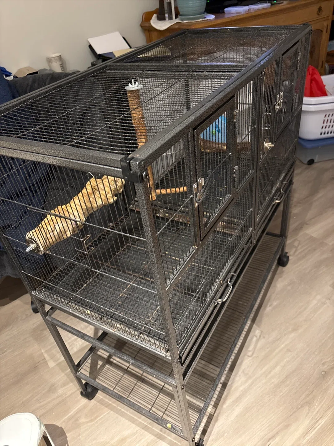 Large Bird Cage with Stand
