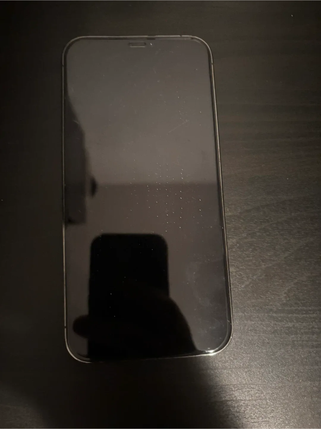 iPhone 12 Pro Max Graphite