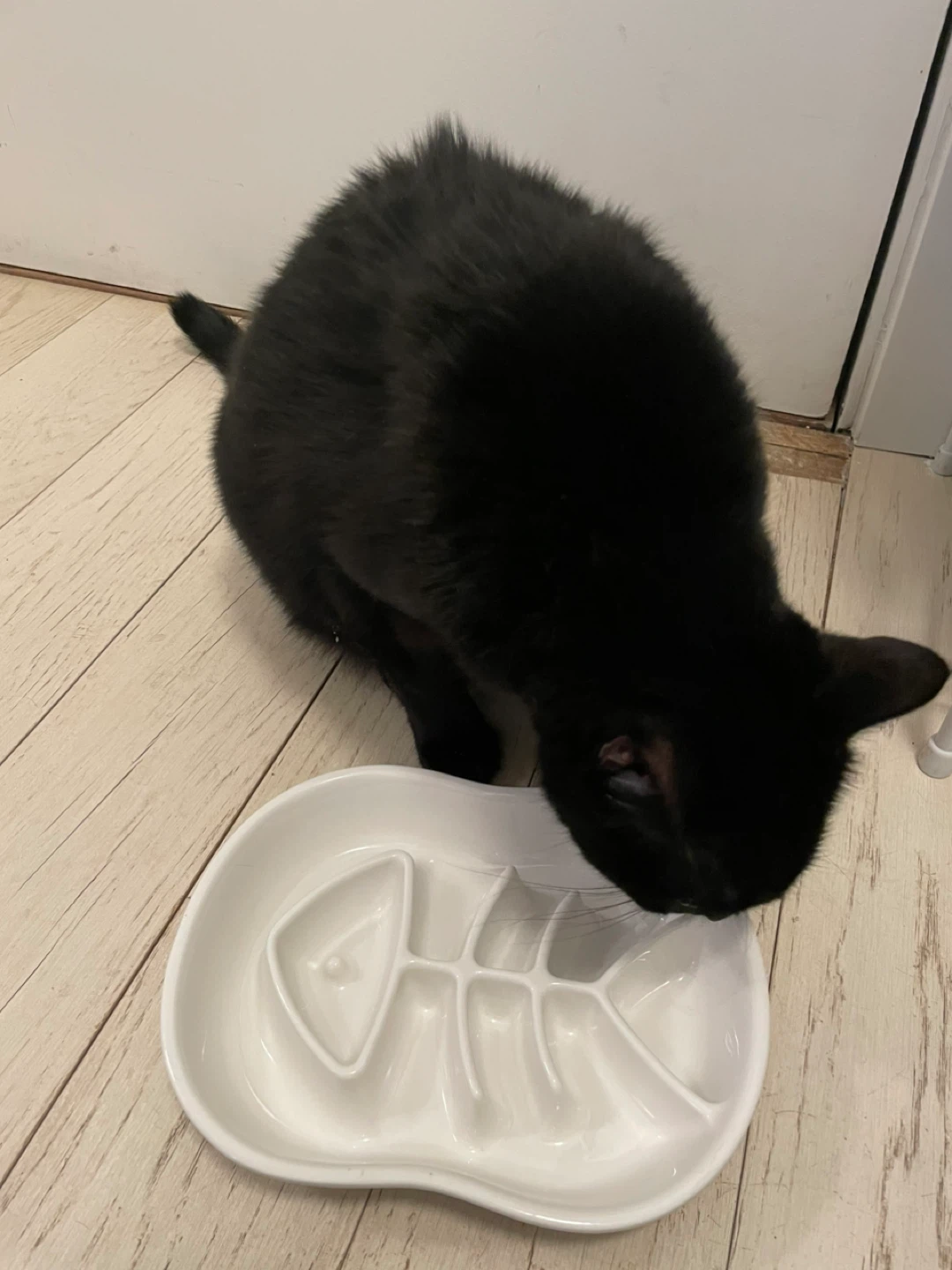 Pet slow feeder bowl - photo 2