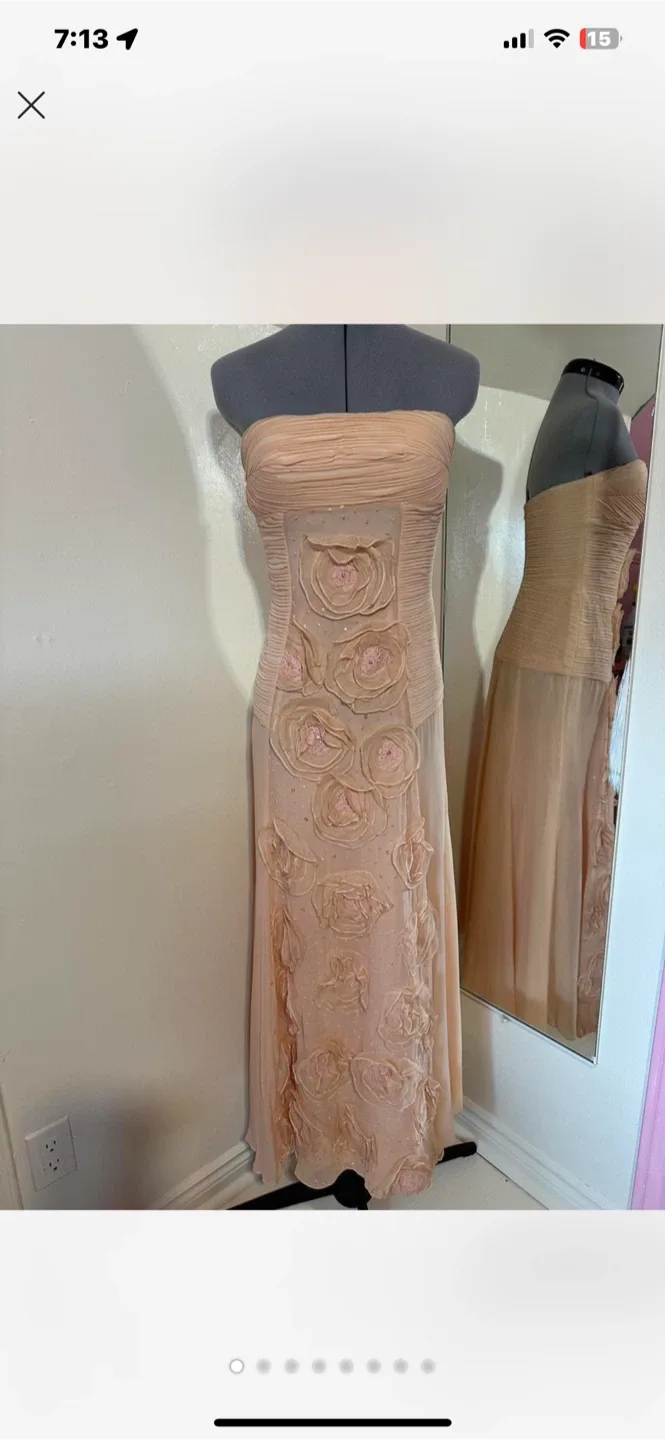 AndyTheAnh Dress - Size 2