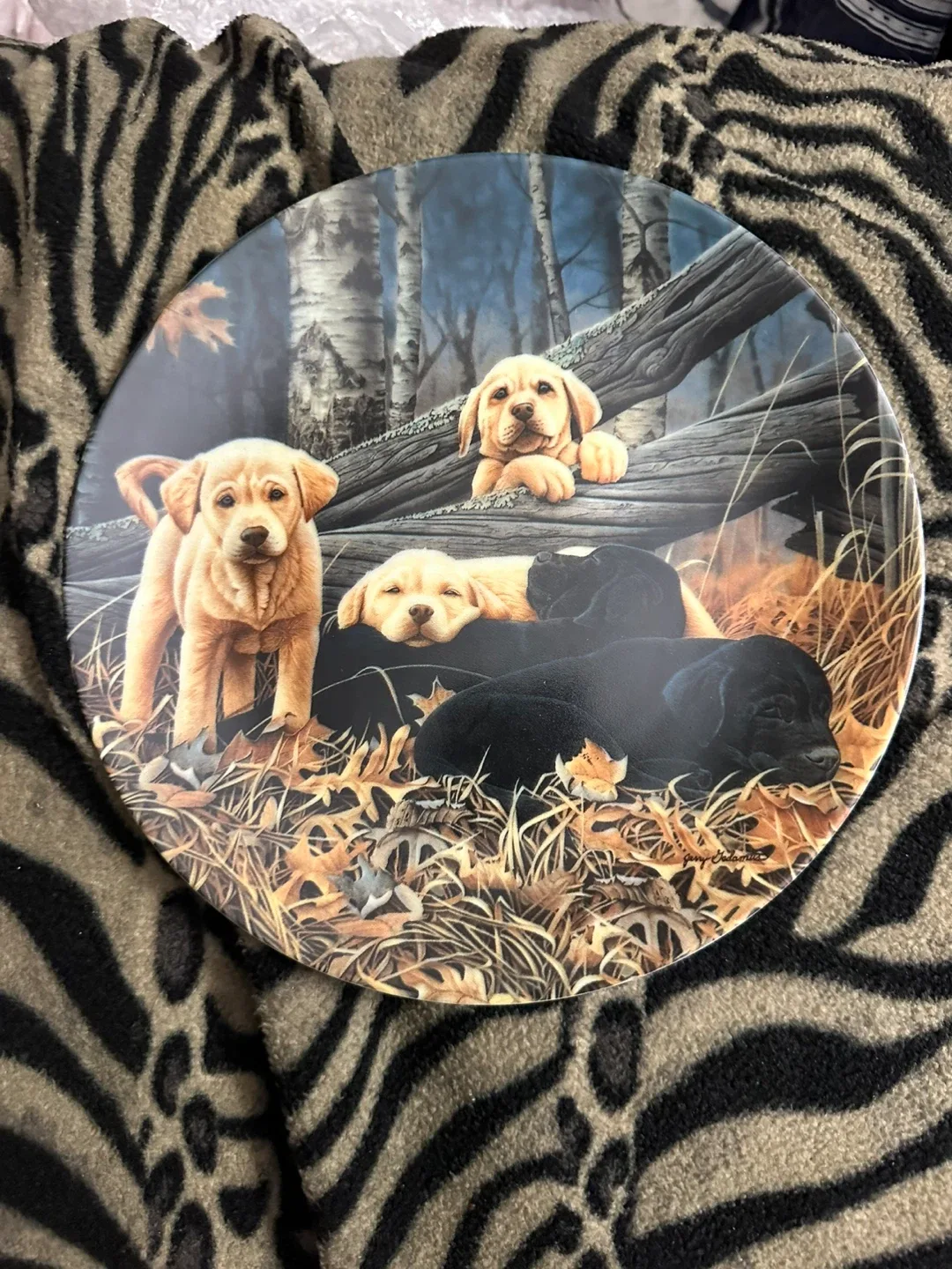 Decorative Plate with Puppy Design