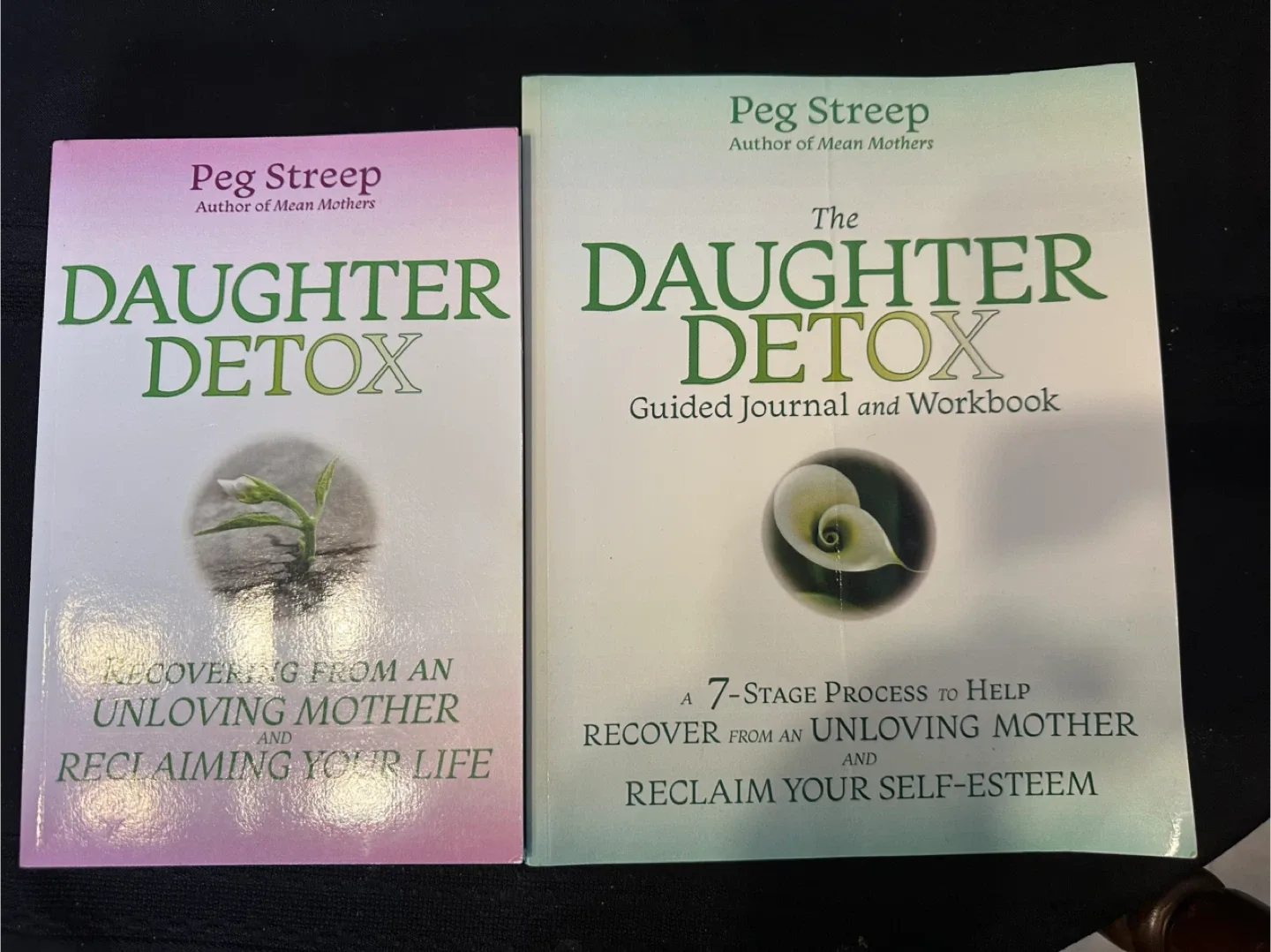 Daughter Detox & Mean Mothers Books by Peg Streep