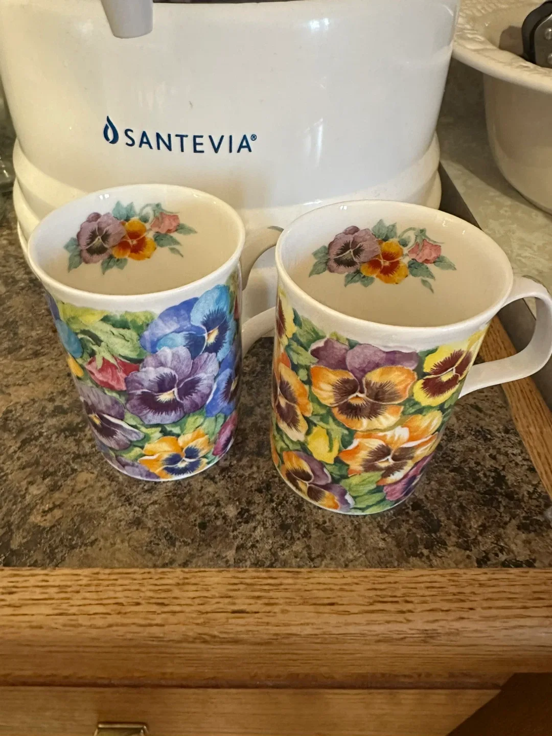 Floral Mugs - Set of 2