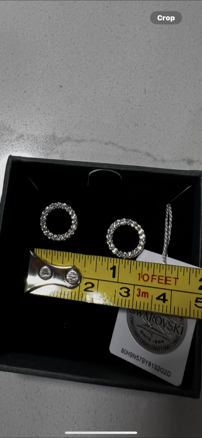 NIC & SYD Swarovski Crystal Circle Earrings - New - photo 4