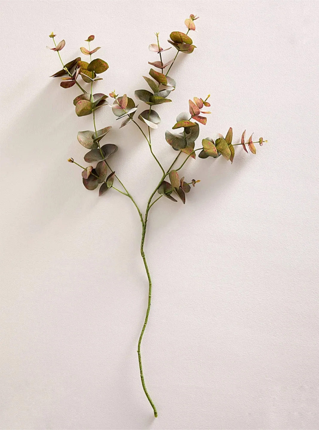 Faux Eucalyptus Stem image indicator(3)