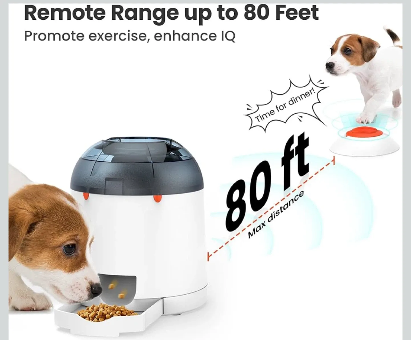 Automatic Pet Feeder with Remote Training image indicator(2)