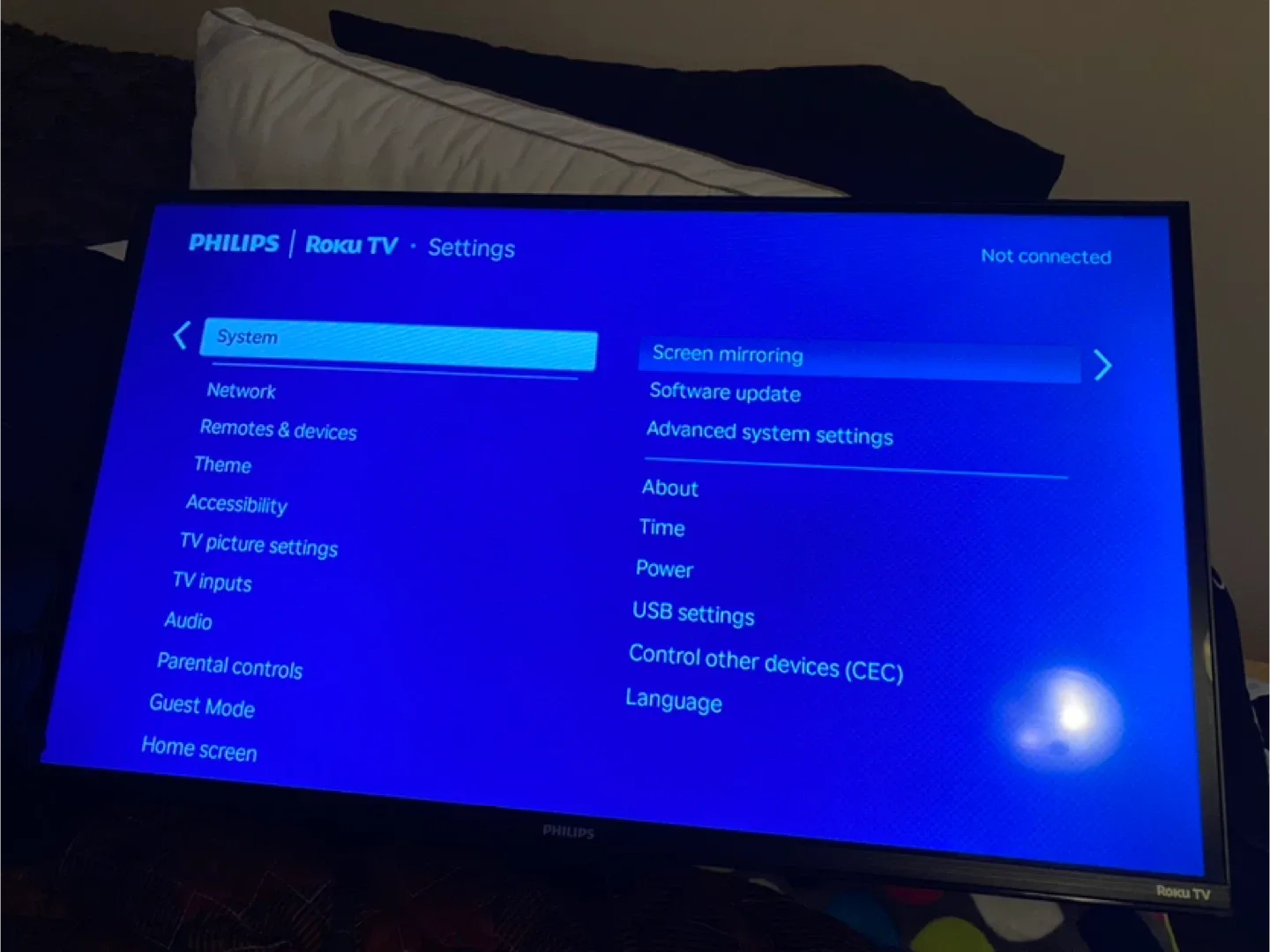 Philips Roku TV & standing Mount