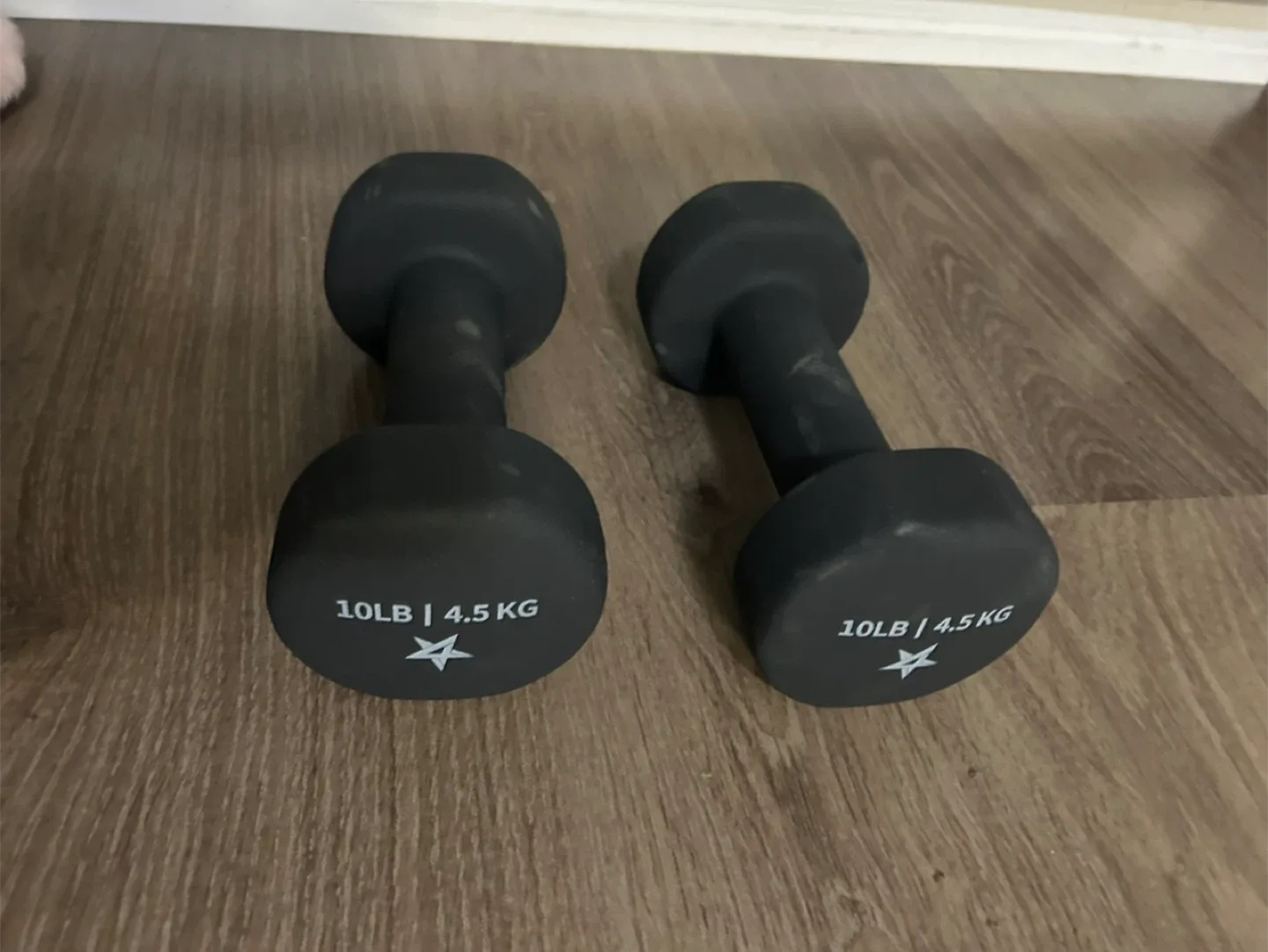 Pair of 10lb (4.5 kg) Dumbbells