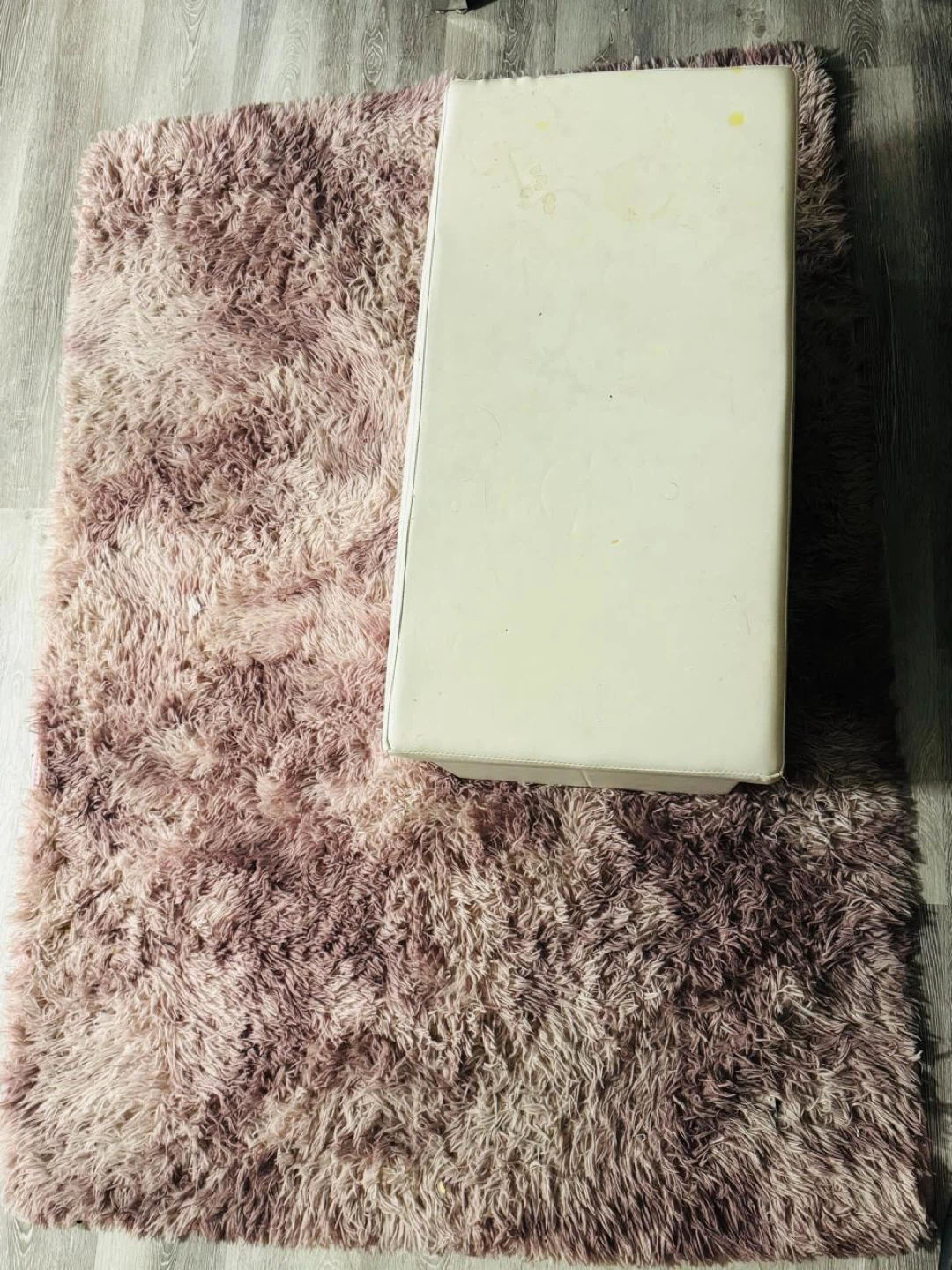 White Storage Ottoman and pink rug - photo 2