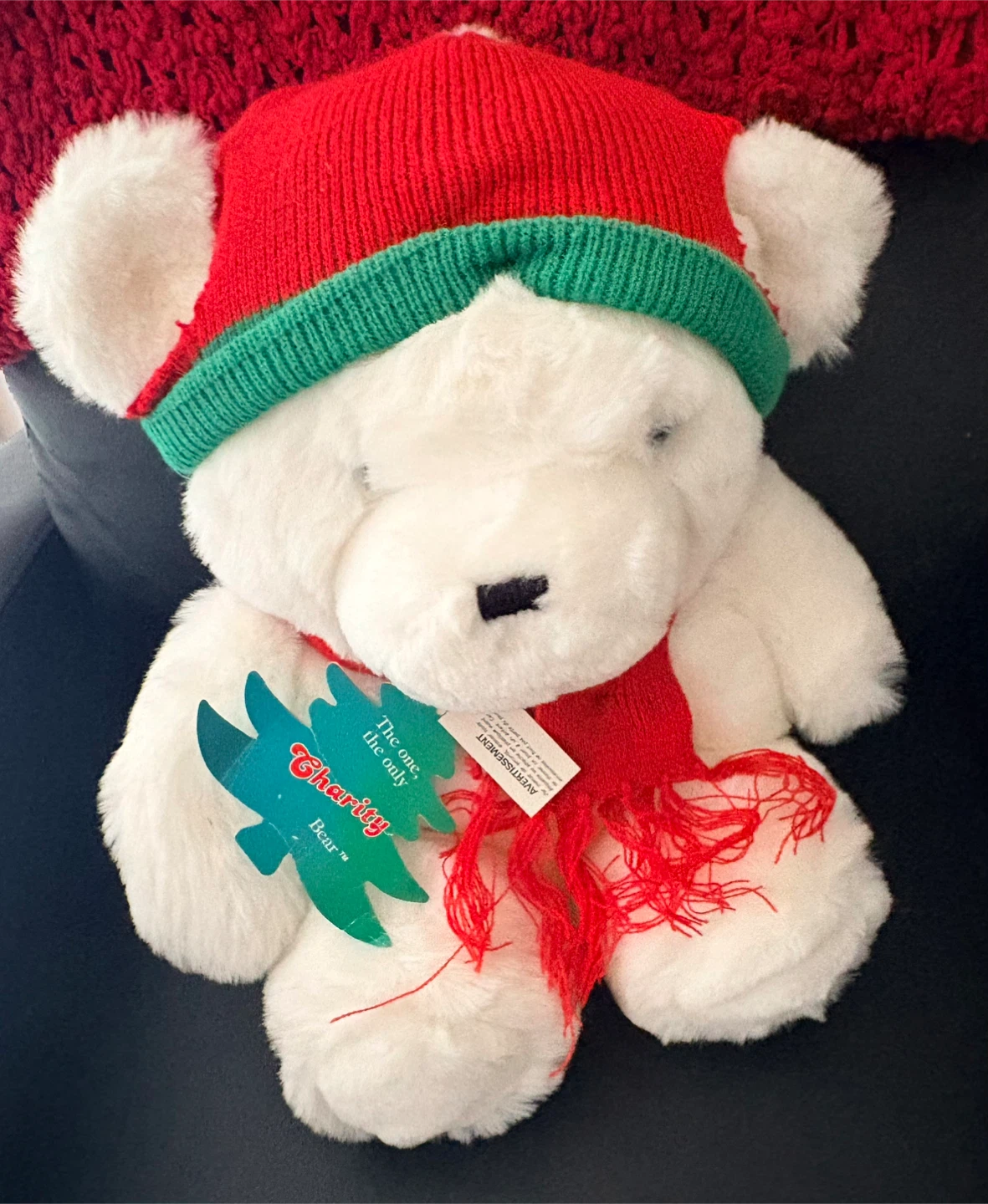 Bear Plush Toy - New with Tags!