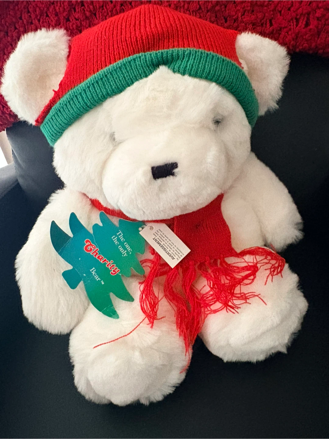 Bear Plush Toy - New with Tags! - photo 2