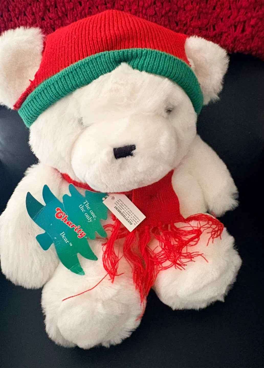 Bear Plush Toy - New with Tags! - photo 3