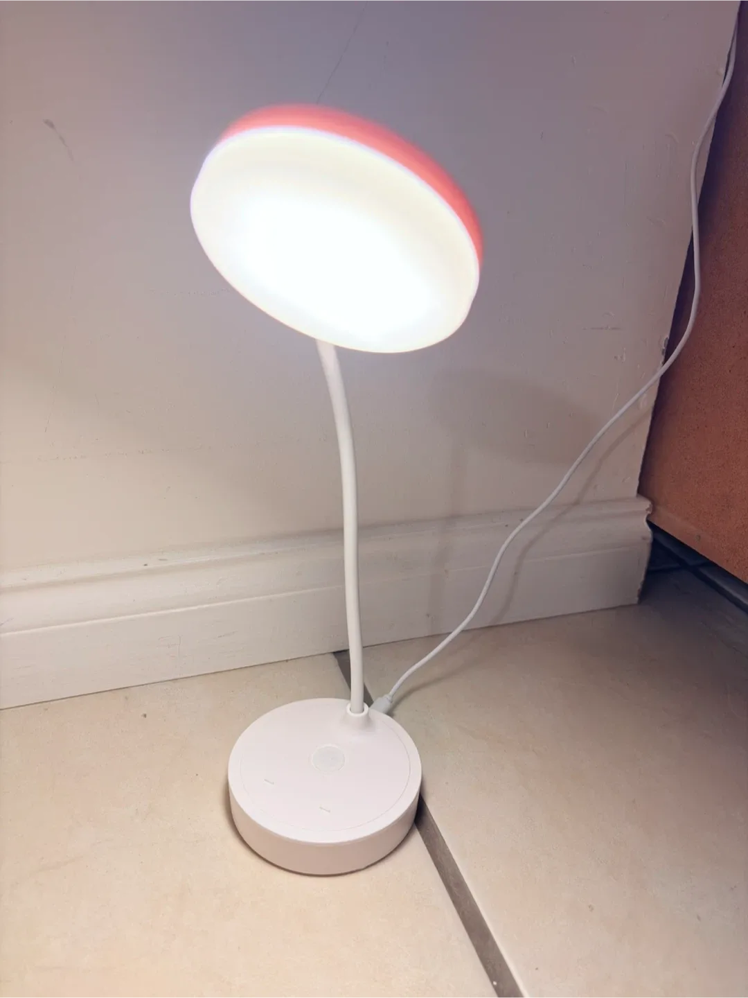 Pink LED Desk Lamp