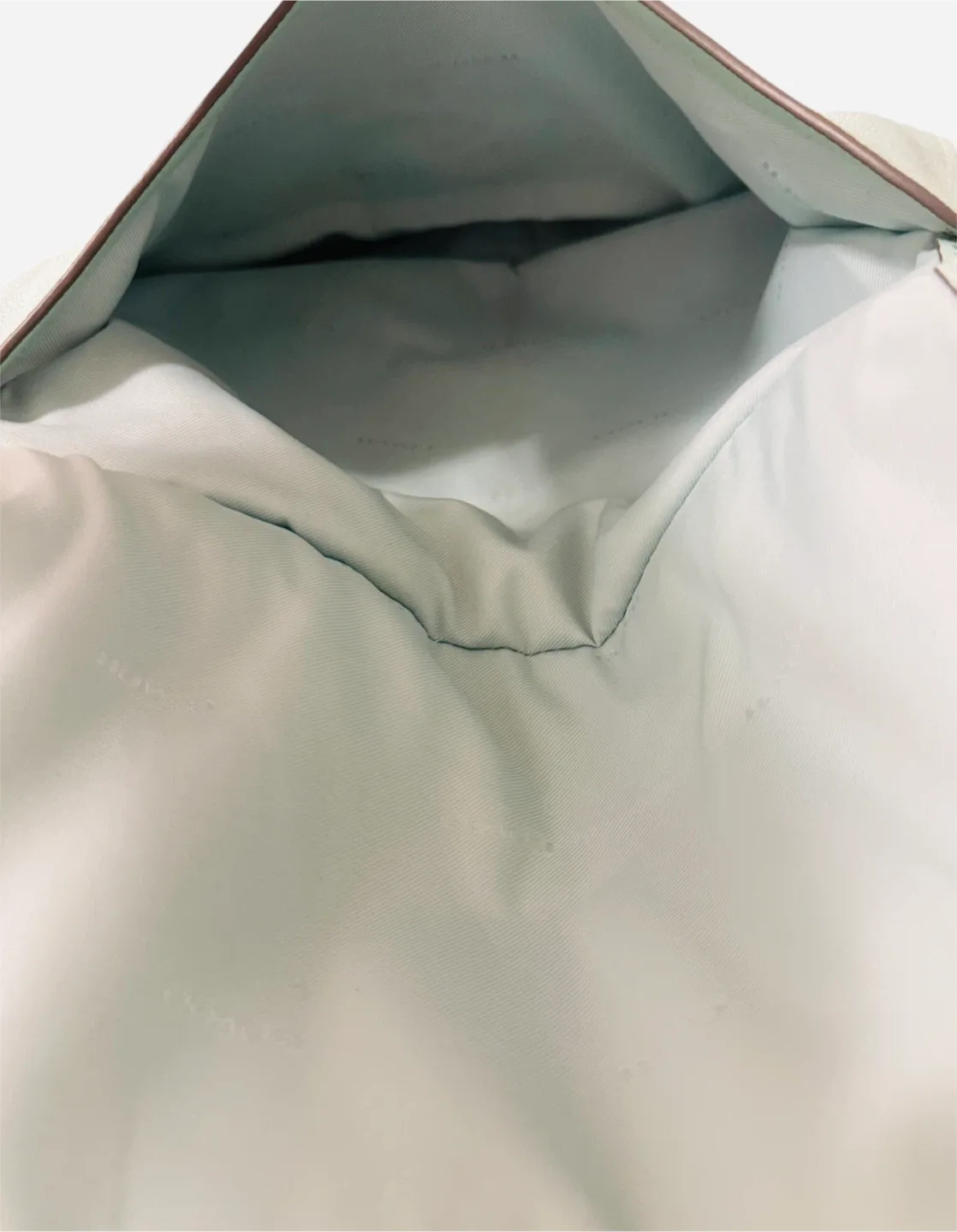 Coach Turnlock Hobo Bag ��– Seafoam Green Leather image indicator(8)