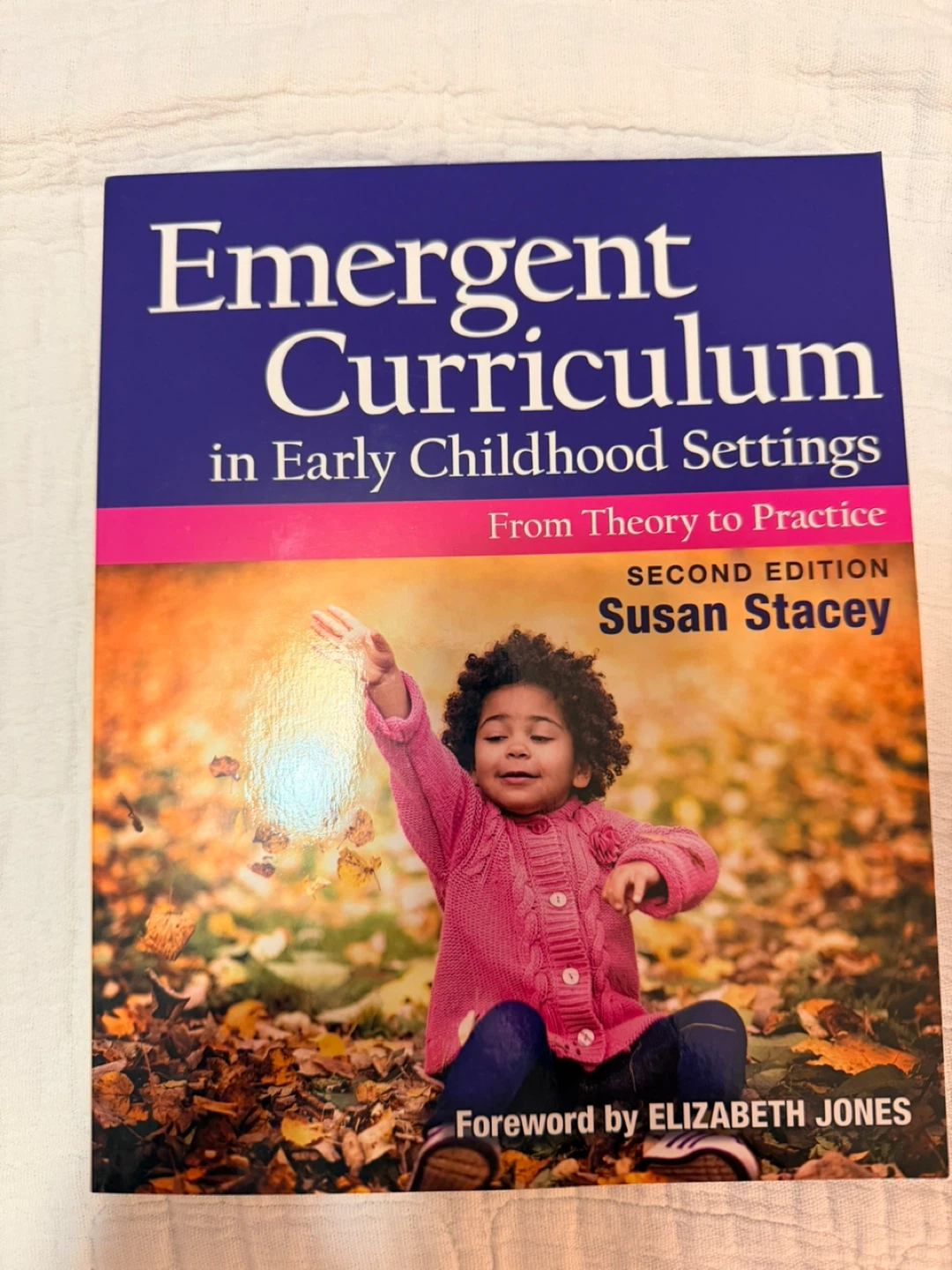 Emergent Curriculum in Early Childhood Settings Book