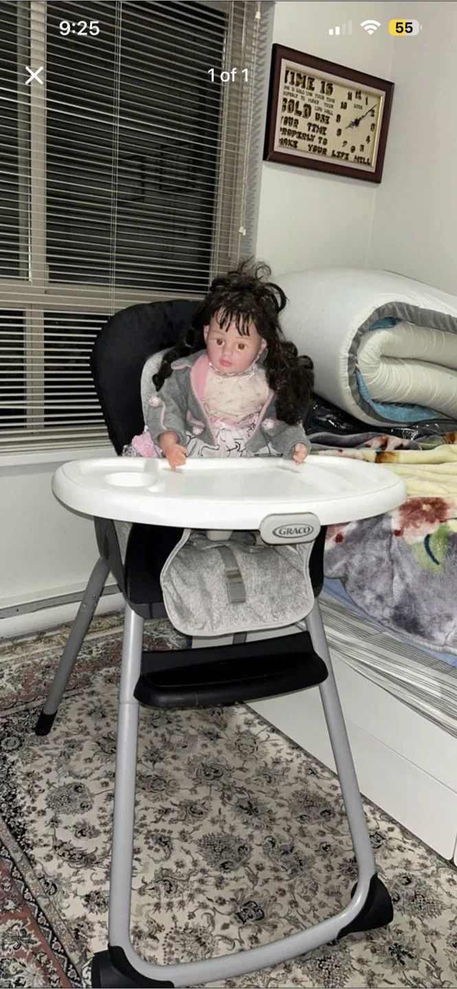 Graco High Chair