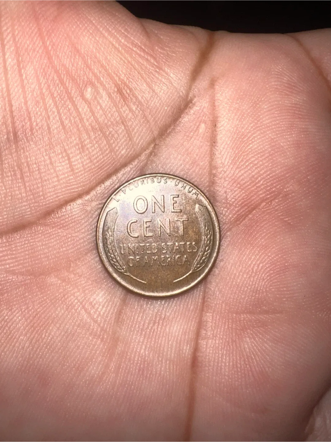 One Cent Coin