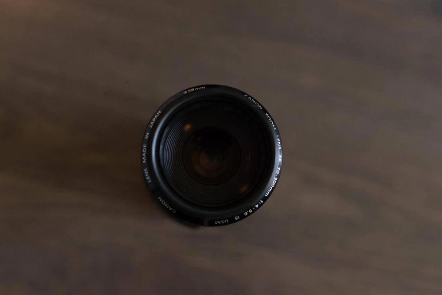 Canon EF 70-300mm f/4-5.6 IS USM Lens - photo 3