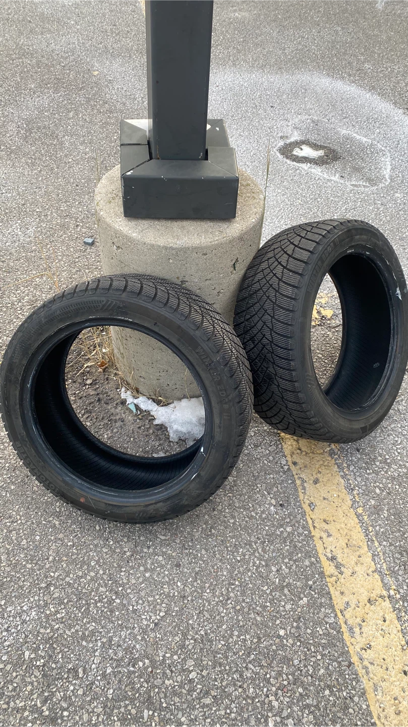 Motomaster Winter Edge Tires (225/45/17)