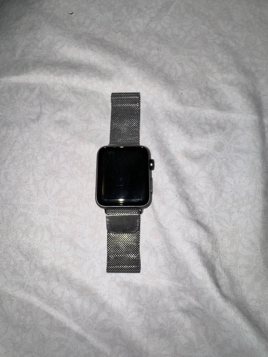 Apple Watch Series 3 - Silver 42mm image indicator(2)