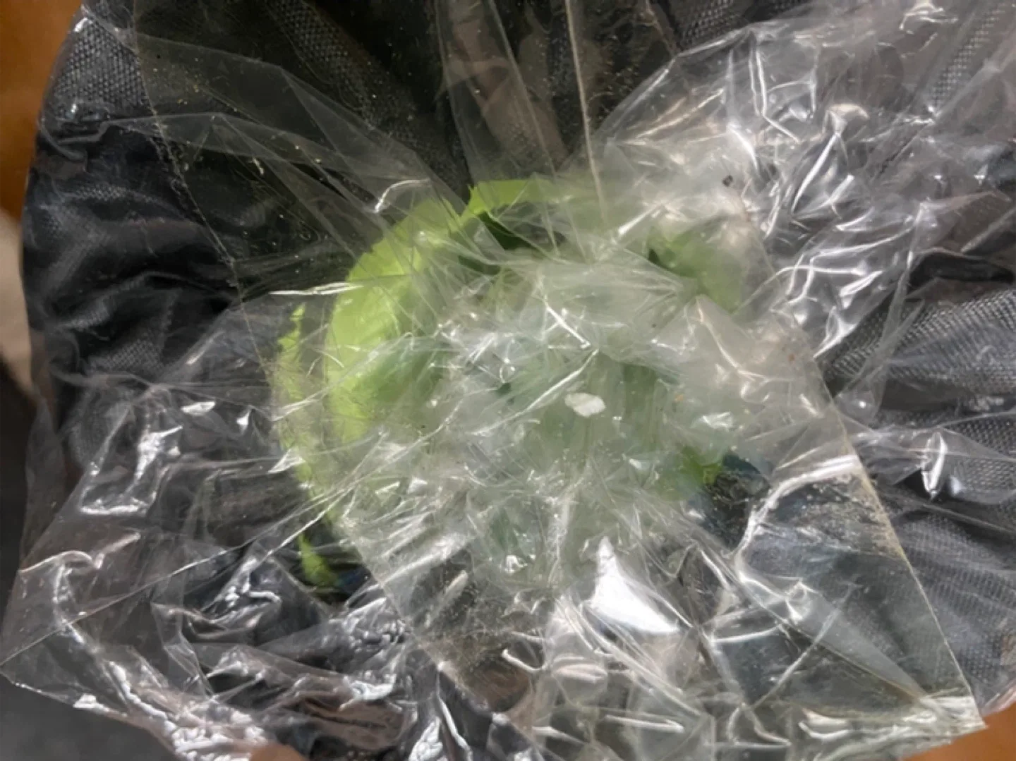 Brand New TPE Yoga Mat with Carrying Bag image indicator(8)