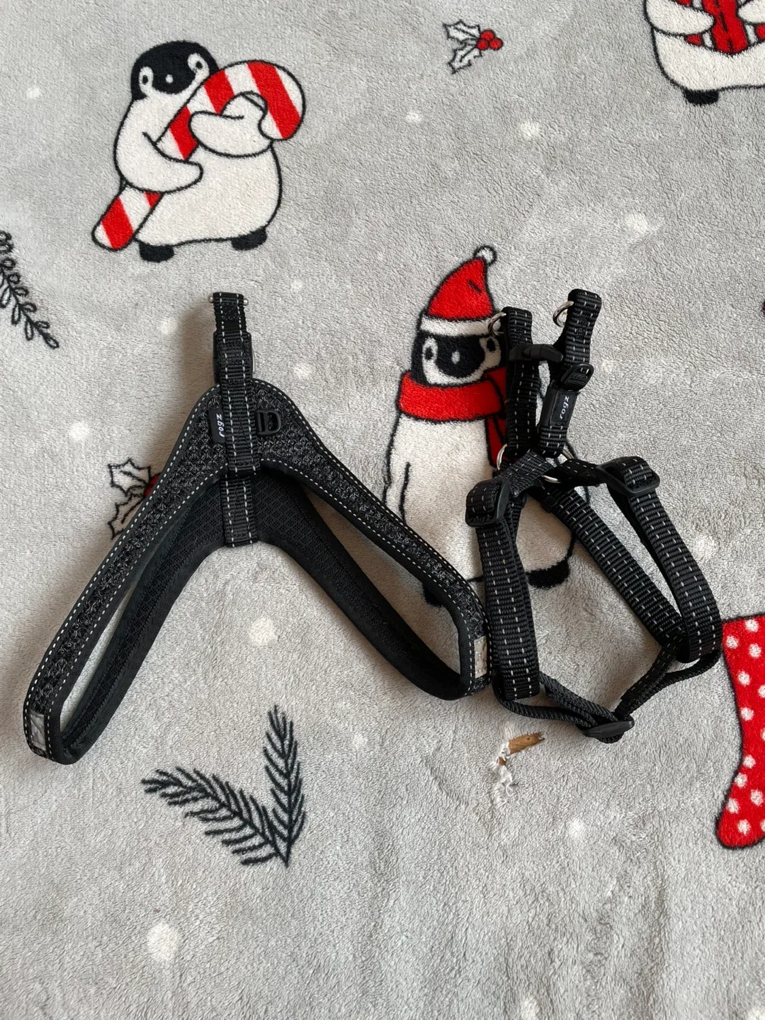 Small Dog Rogz Harnesses