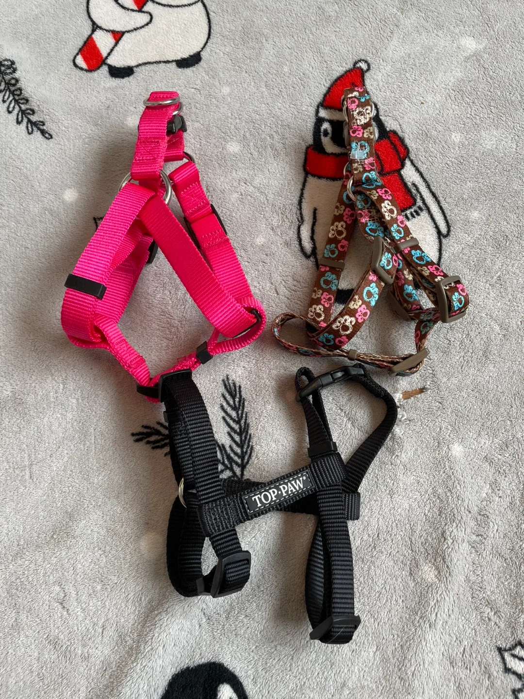 Small Dog Harnesses