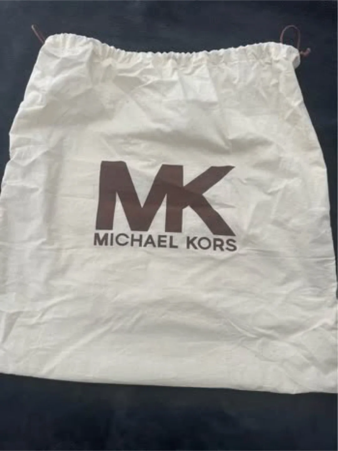 Authentic Michael Kors “python” Snakeskin Hobo Bag image indicator(2)