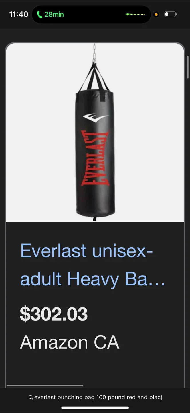 Everlast 100lb Black/Red Heavy Bag