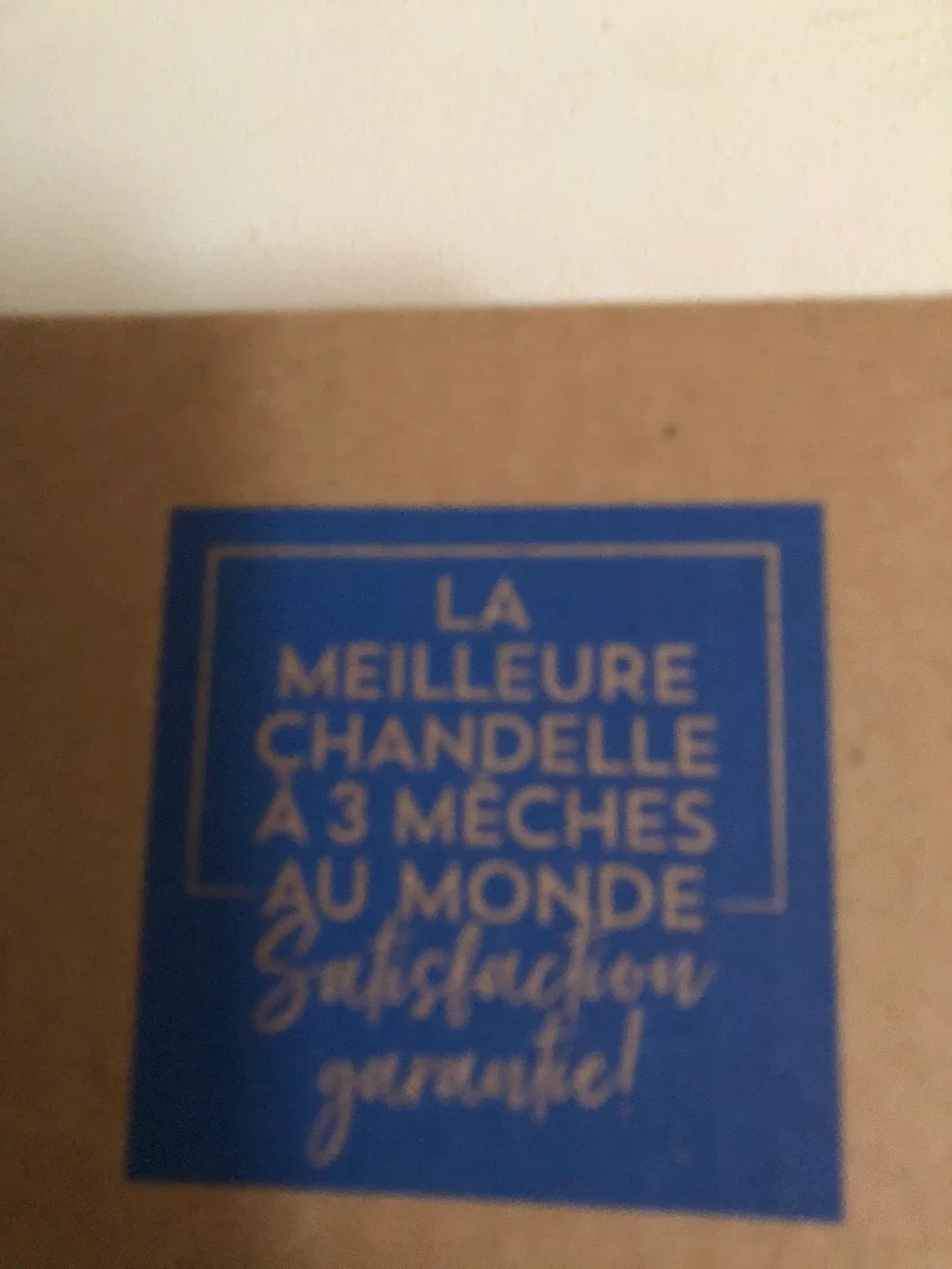 Bath & Body Works Eucalyptus + Tea Candle