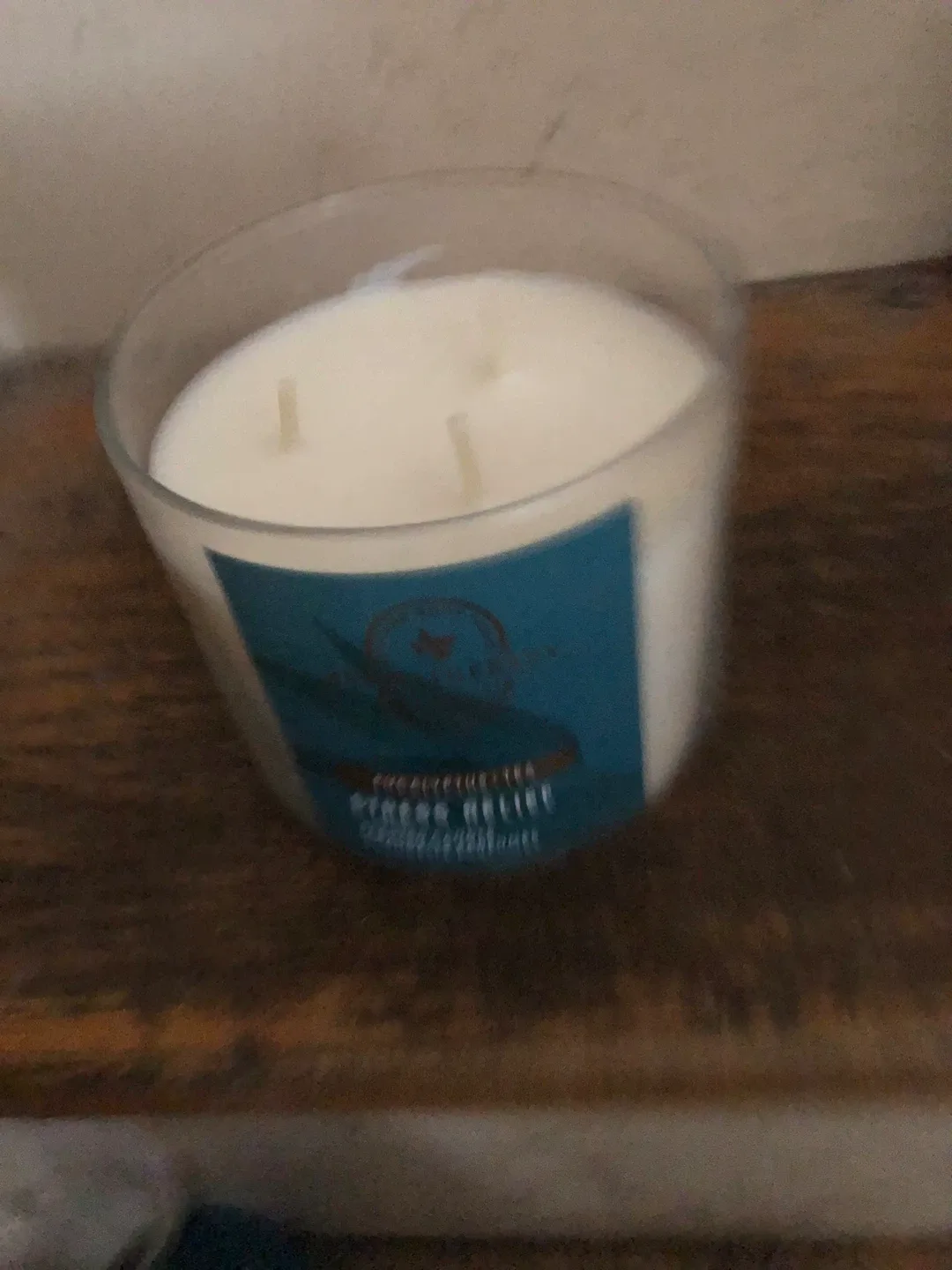Bath & Body Works Eucalyptus + Tea Candle image indicator(2)