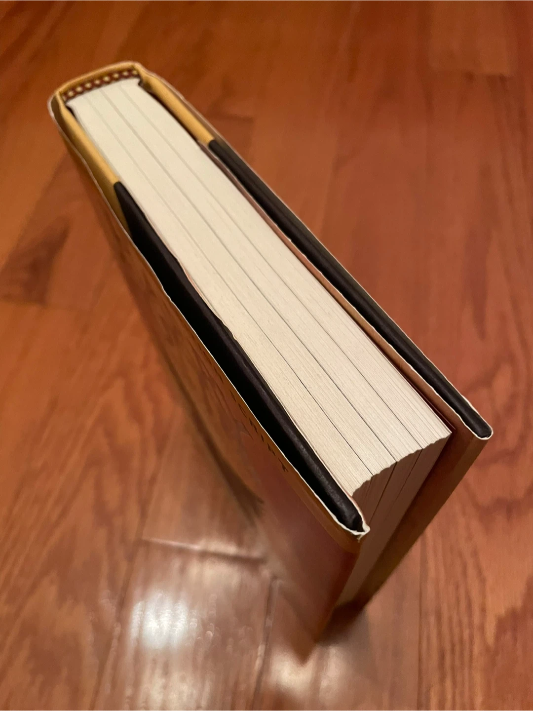 Harry Potter and the Cursed Child Script Book - photo 2