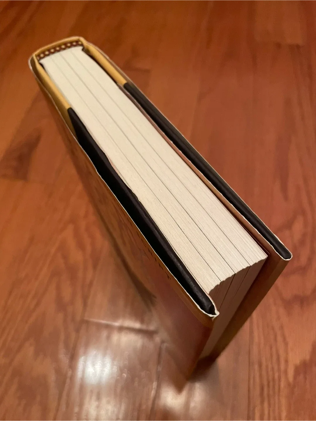 Harry Potter and the Cursed Child Script Book image indicator(2)