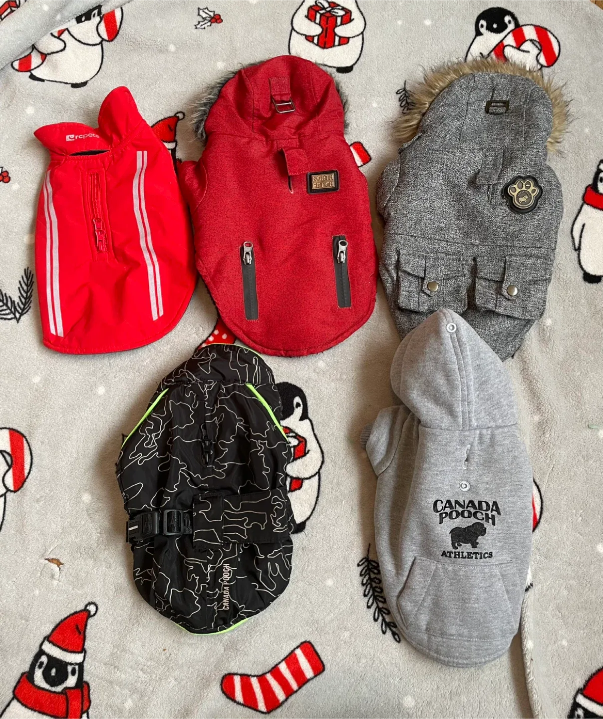 Size 10/10” Dog Winter Coats ($10 Each)