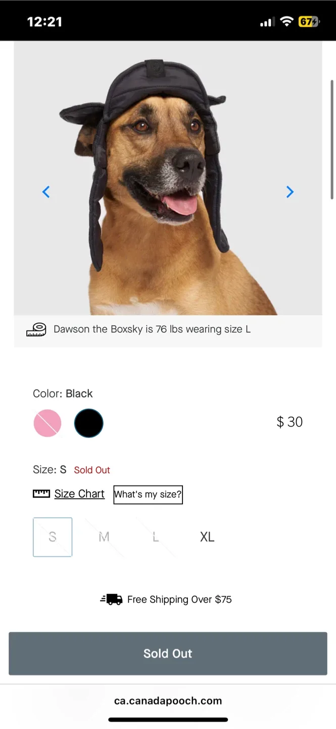 Small Canada Pooch Dog Puffer Hat image indicator(4)