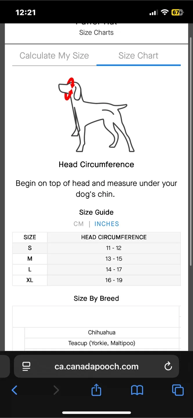 Small Canada Pooch Dog Puffer Hat image indicator(5)