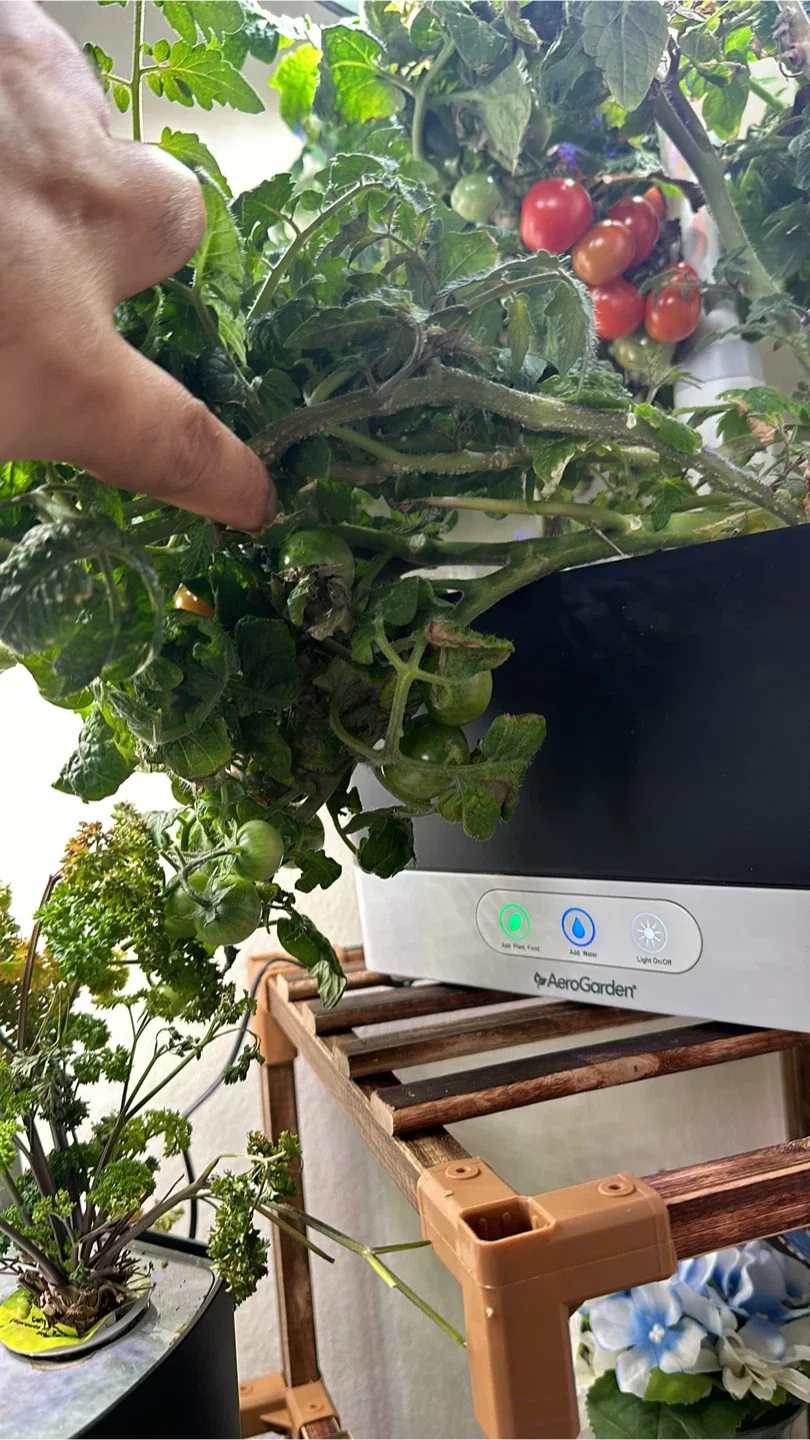 AeroGarden Indoor Garden System (Individual 30, Bundle 100) image indicator(6)