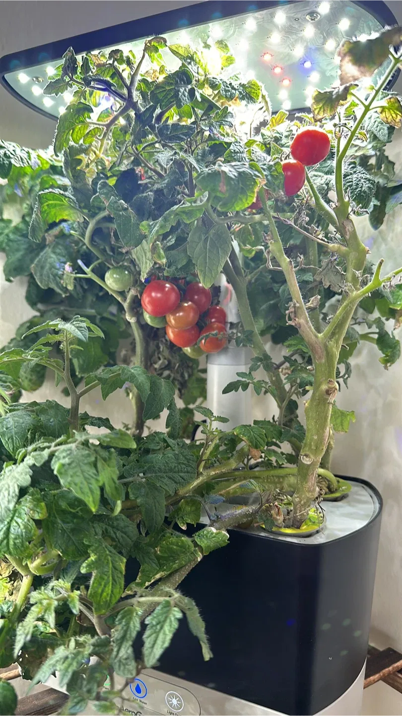 AeroGarden Indoor Garden System (Individual 30, Bundle 100) image indicator(5)