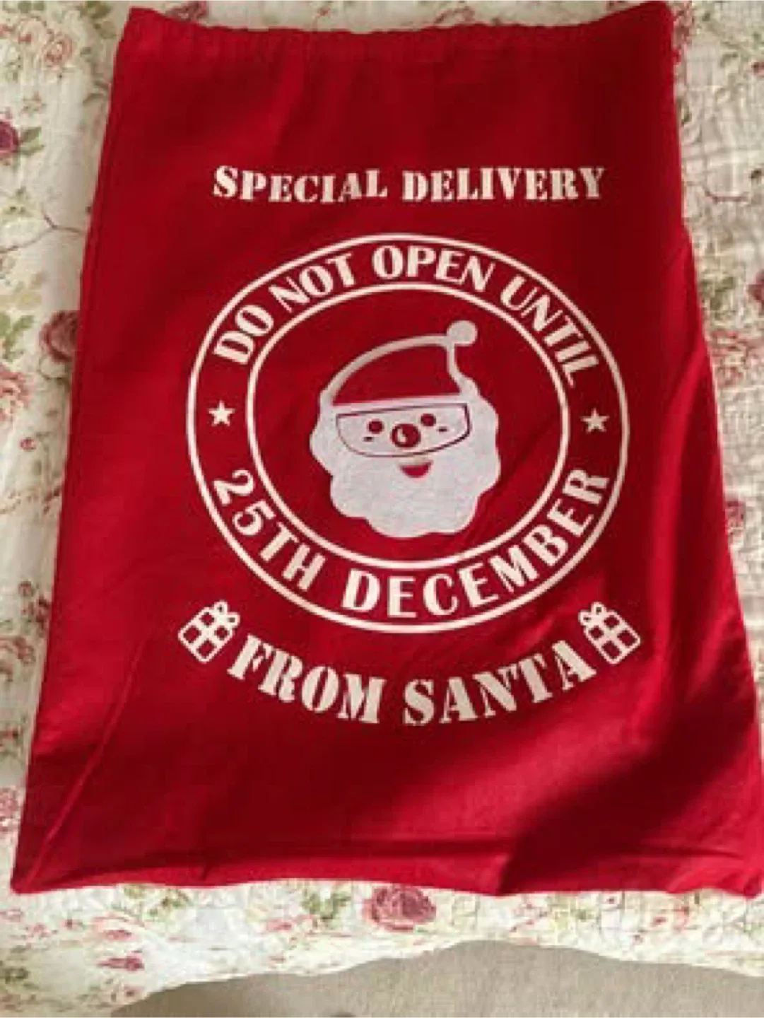 Christmas gift bag (27.7in x 18.9in)