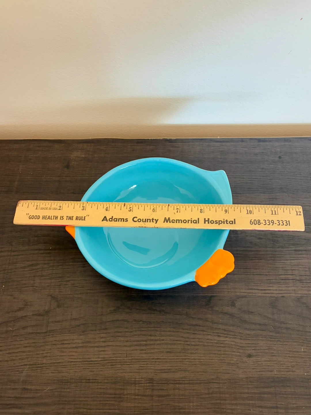 Cute Blue Bird Bowl - photo 4