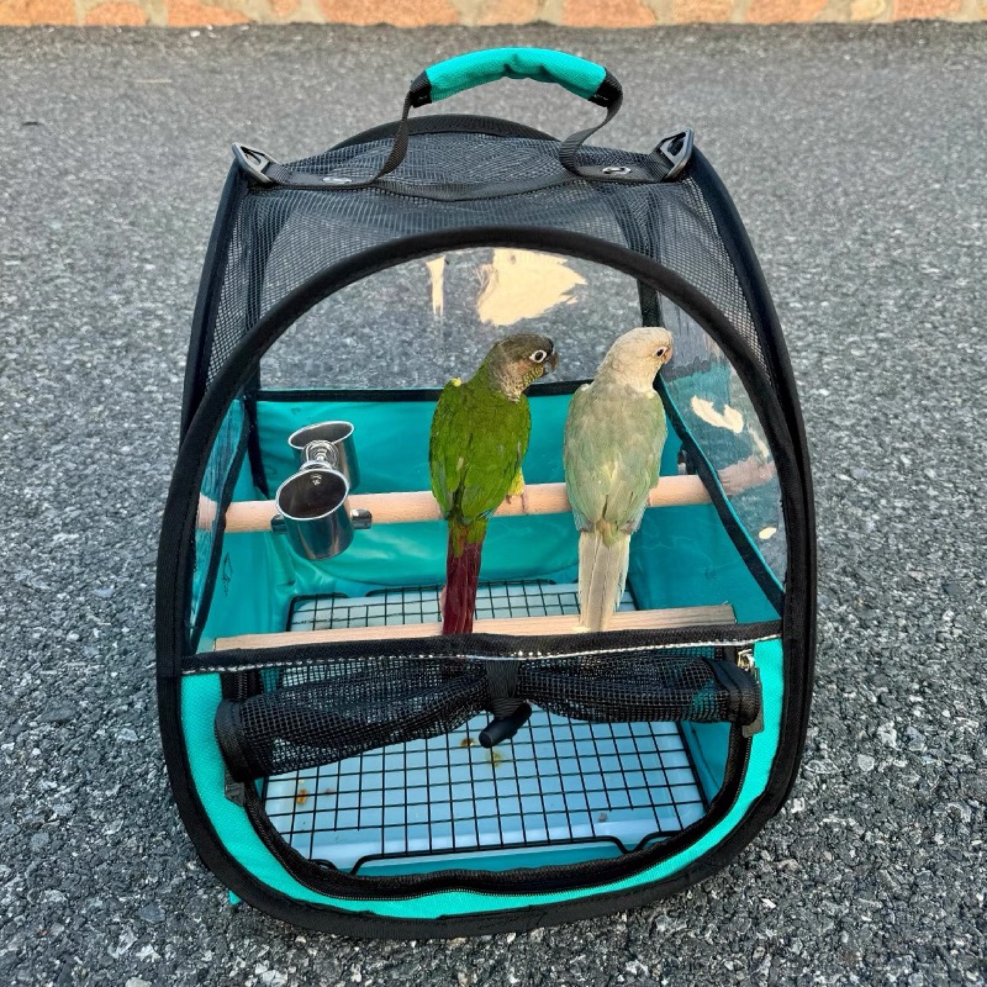 Portable Bird Travel Carrier