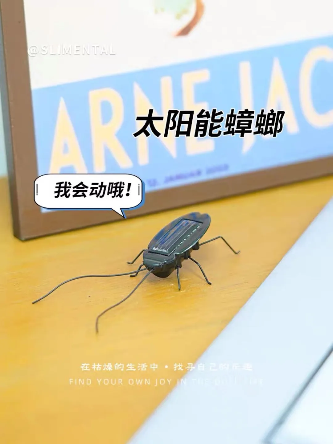 Solar Powered Cockroach Toy