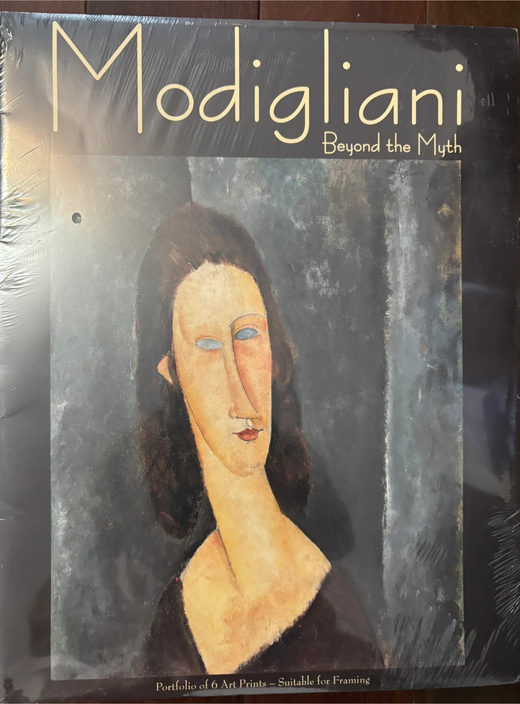Modigliani Beyond the Myth Art Portfolio