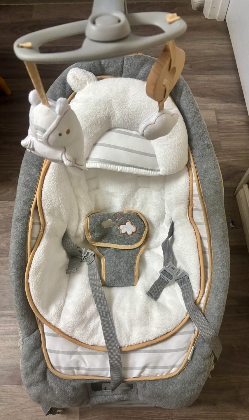 Ingenuity Rocking Seat - Bella Teddy, 0-2.5 Years - photo 4