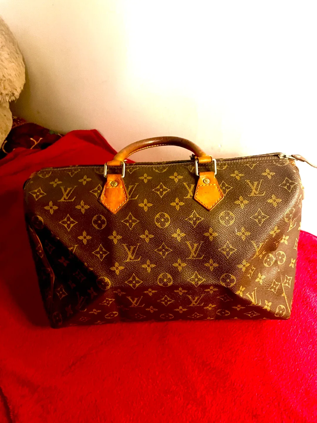 Louis Vuitton Speedy Bag