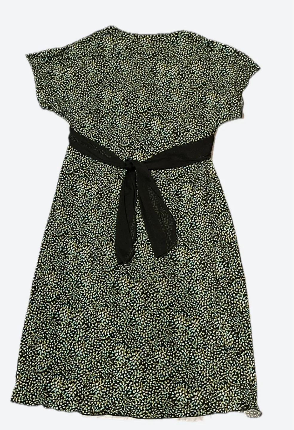 Floral Print Dress with Tie Detail image indicator(2)