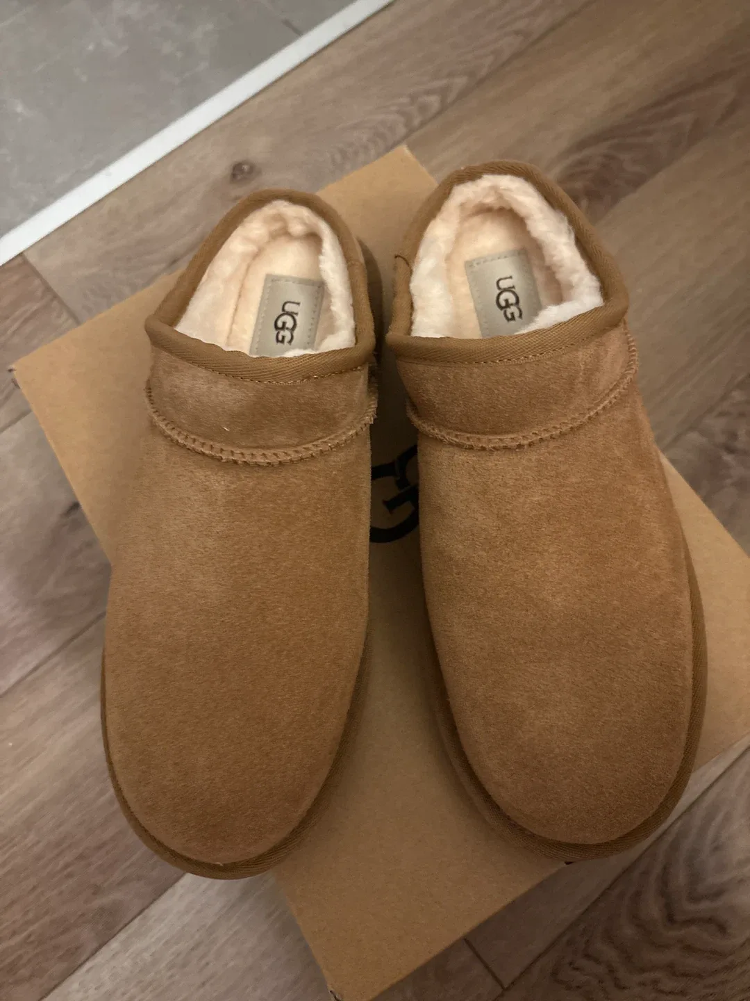 BRAND NEW UGG Classic Micro Low cut size 8