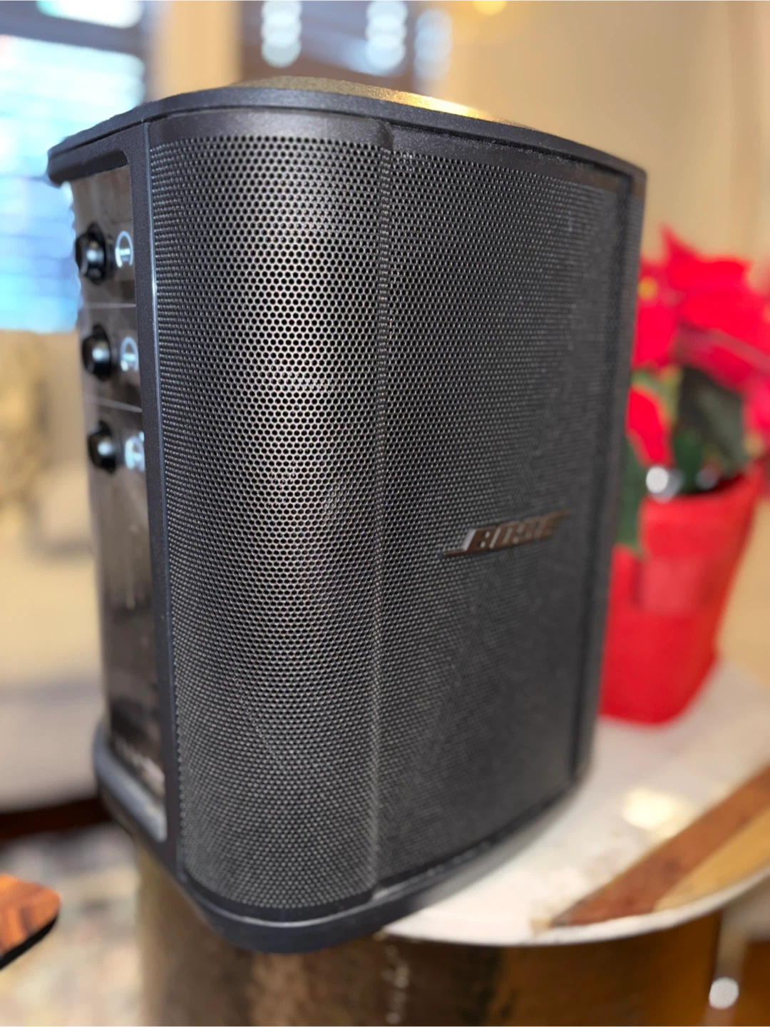 -Bose S1 Pro + Bose Sleeve + Stand