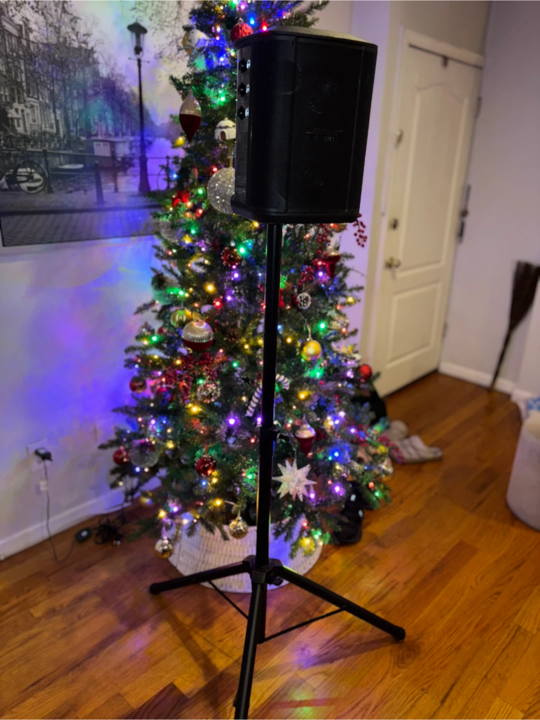 -Bose S1 Pro + Bose Sleeve + Stand - photo 3