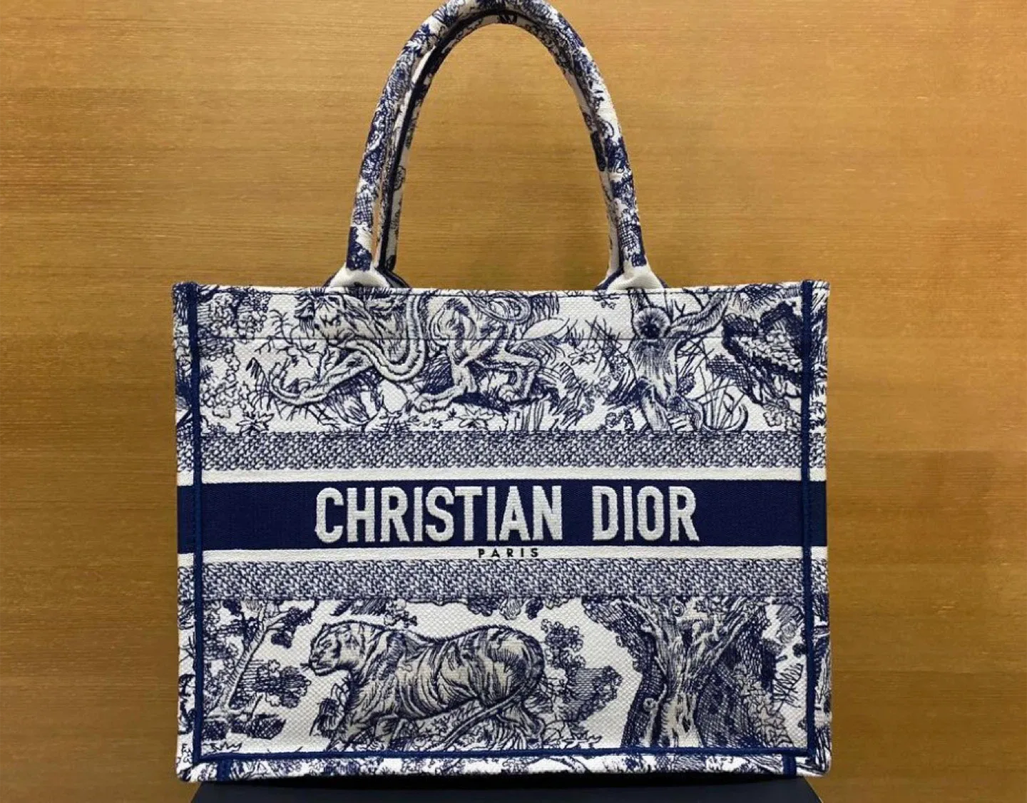 Christian Dior Book Tote Bag